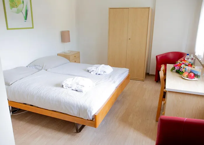 Parkhotel Emmaus - Casa Rustico Ασκόνα